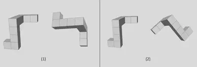 Mental rotation task in two cases: (1) The same (2) Mirrored